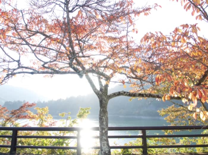 写真1